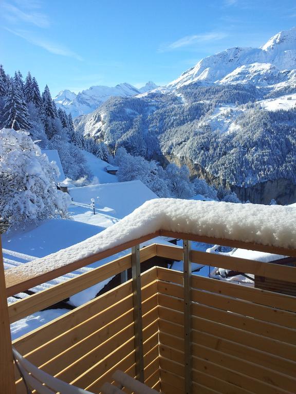 Chalet Viola - Verena's Loft Wengen Esterno foto