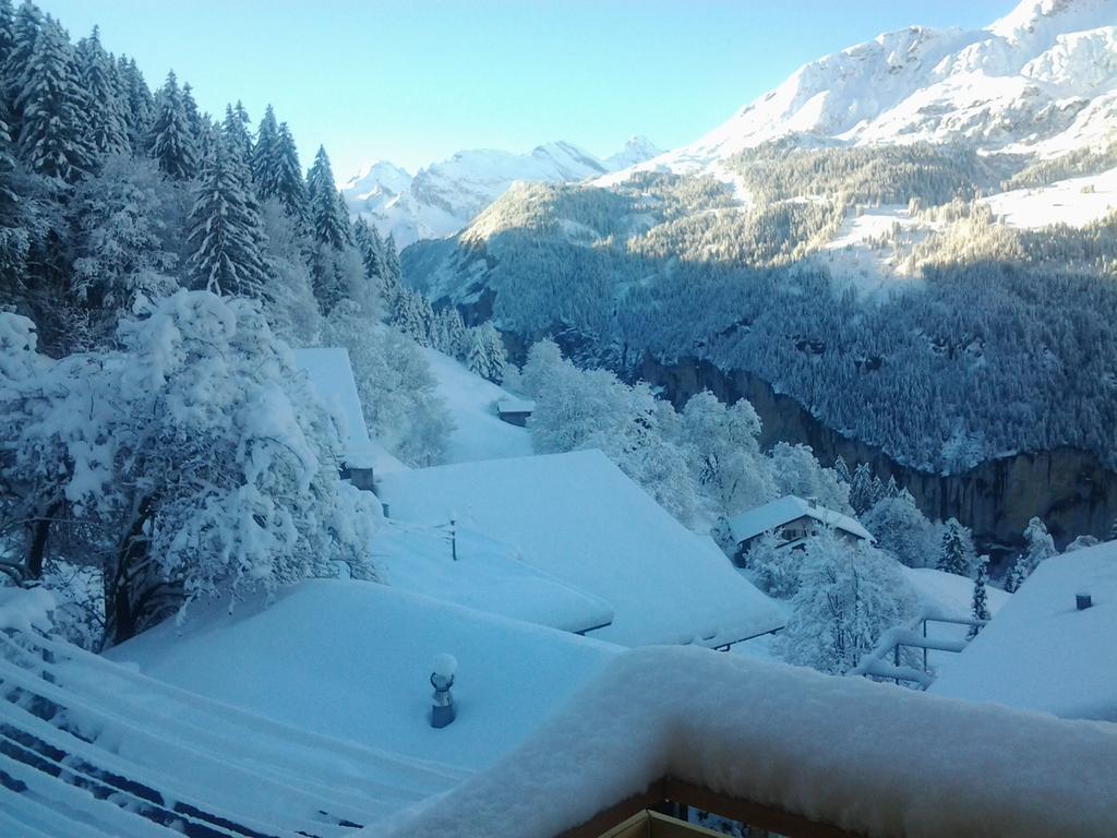 Chalet Viola - Verena's Loft Wengen Esterno foto