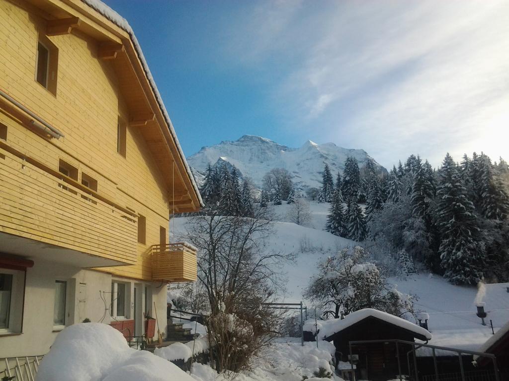 Chalet Viola - Verena's Loft Wengen Esterno foto